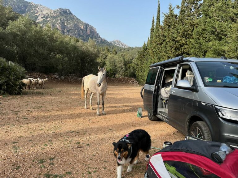 Fischfarm in stillgelegtem Vulkan – mal was anderes!